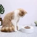 مجموعة أوعية تغذية القطط فريش نانو 15 القابلة للتعديل من بيتكيت - باللون الأبيض