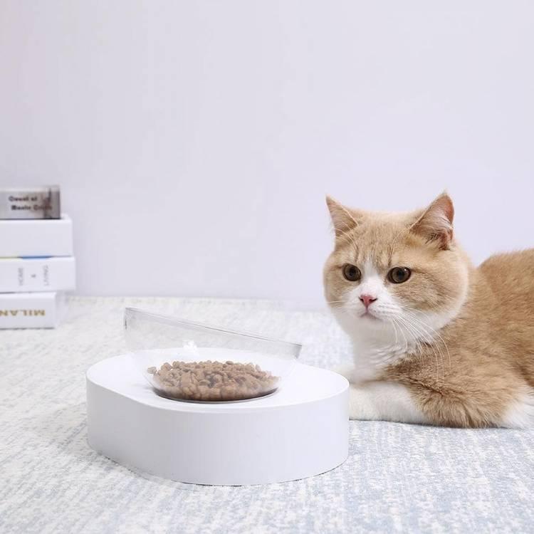 مجموعة أوعية تغذية القطط فريش نانو 15 القابلة للتعديل من بيتكيت - باللون الأبيض