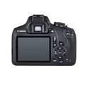 كاميرا Canon EOS 2000D DSLR EFS DC III Black Kit + عدسة EF 50 مم 1.8 STM (حزمة) - أسود