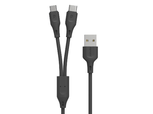 2 in 1 Cable Type-C and Micro USB
