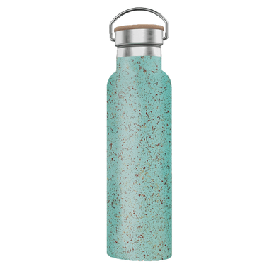 Green Lion Pattern Stainless Steel Portable Water Bottle 600ml / 21oz with Handle, Double Vacuum Wall, Smudge Resistant, Scratch Defense, & Condensation Proof, Wood Lid