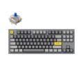 Keychron Q3 QMK Custom Hot-Swappable Gateron G-PRO Mechanical Keyboard With Blue Switch & RGB - Space Grey