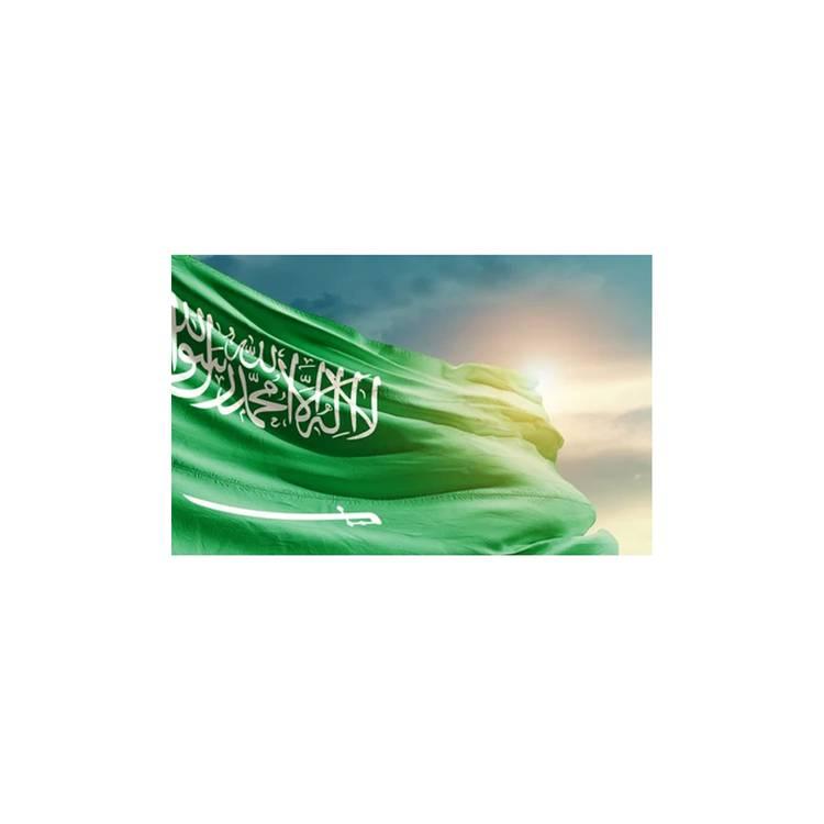 علم المملكة العربية السعودية - ألوان زاهية ومقاومة للأشعة فوق البنفسجية ، خفيفة الوزن ، تظهر الدعم في الأحداث الرياضية والاحتفالات الأخرى ، مخيط في جميع أنحاء ، 100 ٪ بوليستر-مقاس 96 * 64 سم