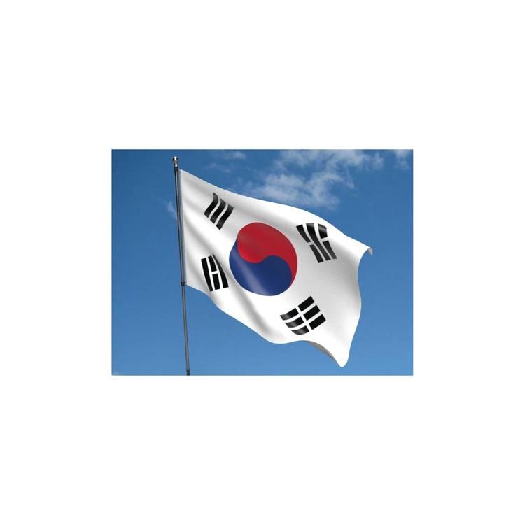 AFC 2019 South Korea Flag Vivid Color And UV Fade Resistant, Lightweight, Show Support at Sporting Events and Other Celebrations, All Around Stitched - 96X64cm