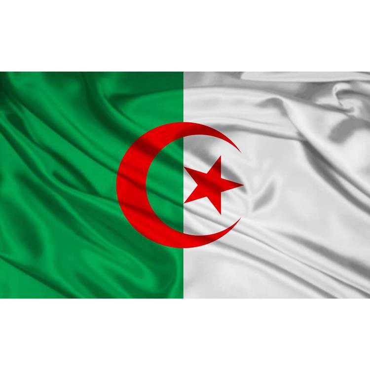 High Quality Alg Algeria Flag Hanging Polyester Vivid Color - Temu