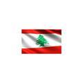 AFC 2019 Lebanon Flag, Vivid Color & UV Fade Resistant, Light weight, Show support at sporting events and other celebrations, Size: 96x64cm