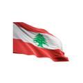 AFC 2019 Lebanon Flag, Vivid Color & UV Fade Resistant, Light weight, Show support at sporting events and other celebrations, Size: 96x64cm