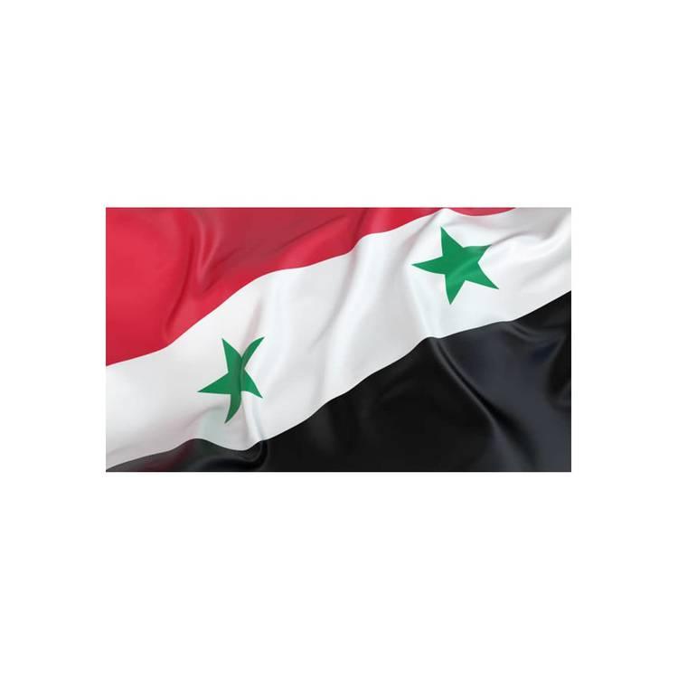 علم سوريا ، للاستخدام الداخلي والخارجي ، ألوان زاهية ومقاومة للبهتان للأشعة فوق البنفسجية ، دعم خفيف الوزن في الأحداث الرياضية والاحتفالات الأخرى ، مقاس 96 × 64 سم