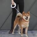 Xiaomi Moestar Retractable Dog Leash Pro Natural Grey