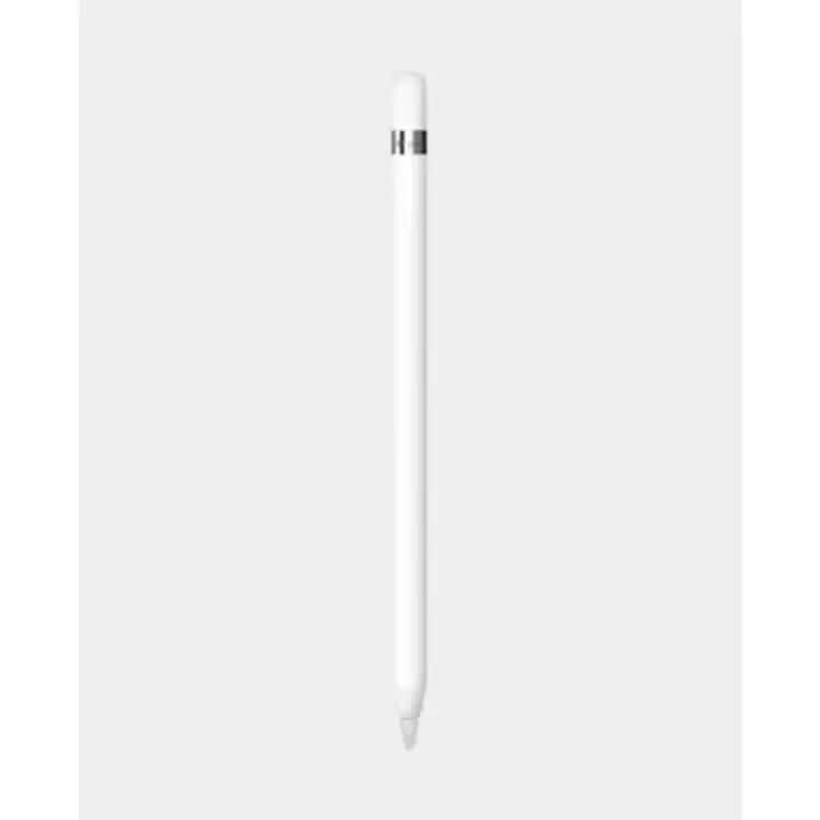 Apple Pencil 1st Gen with USB-C pencil Adapter