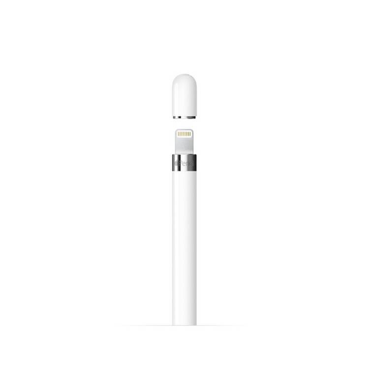 Apple Pencil 1st Gen with USB-C pencil Adapter
