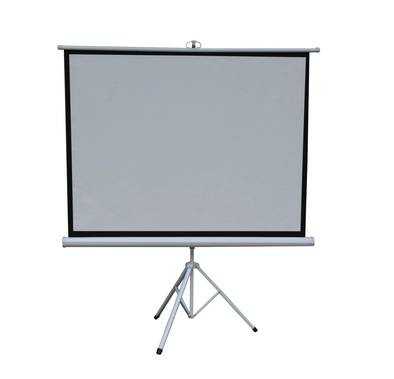 Green Lion 120" Portable Projection Screen With Tripod Stand - White