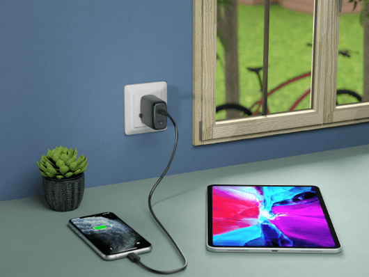 Green Lion Dual Port USB-C Wall Charger 